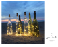 Preview: Flaschenlicht 12 Stk. – 10 LED Flaschenlichterkette mit Korken – 3 Modi (Blinken & Dauerlicht) – Warmweiß – 1 m Silberdraht – Deko für Flaschen, Party, Hochzeit & Weihnachten